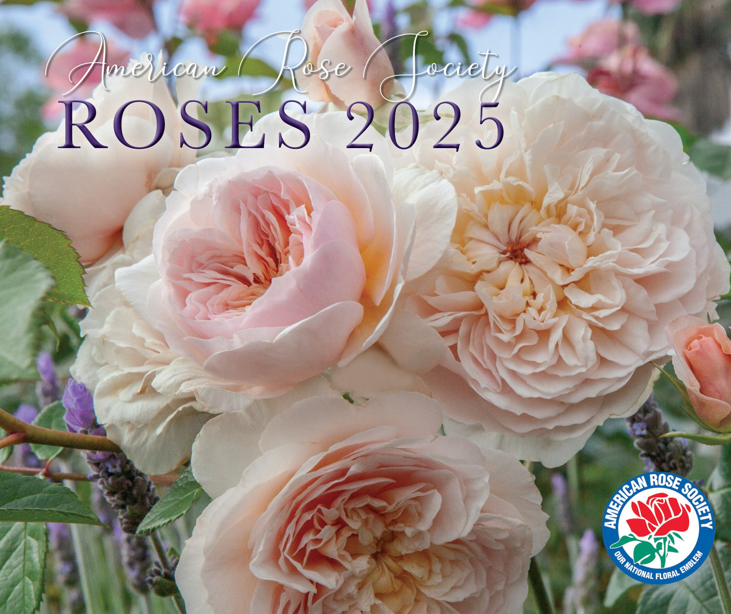 2025 Rose Calendar