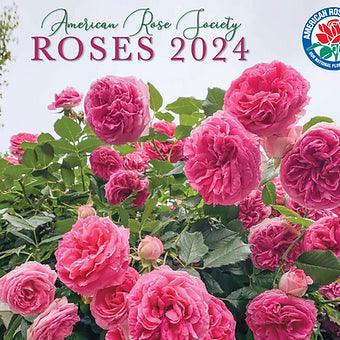 2024 Roses Wall Calendar