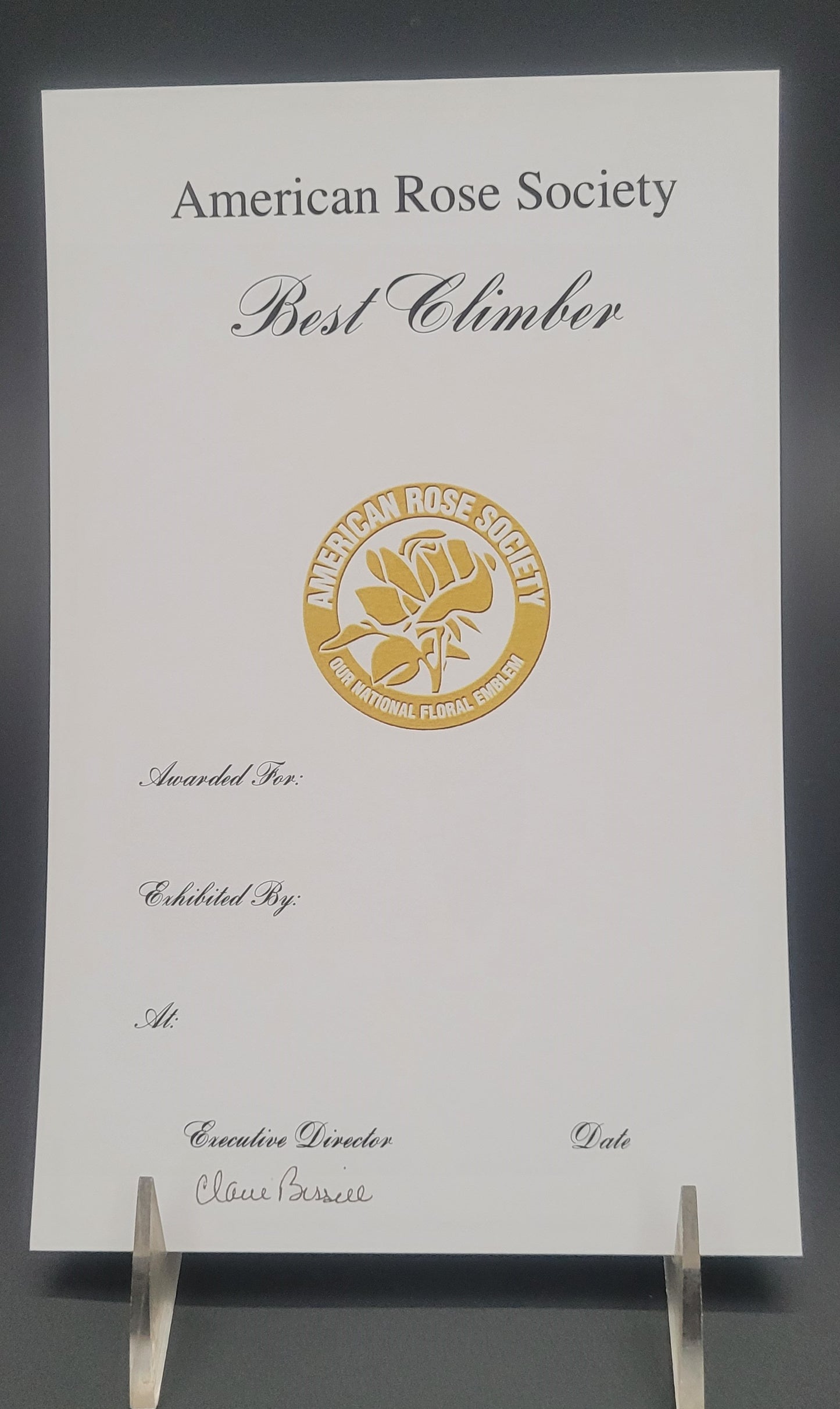 Certificate Best Climber