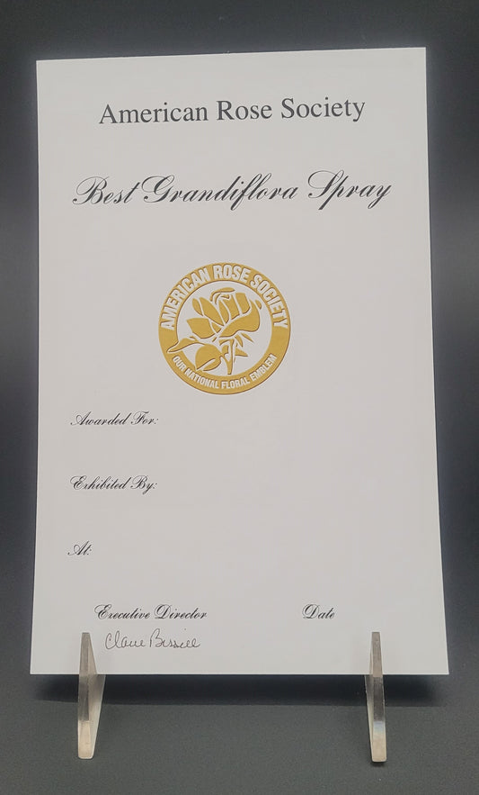 Certificate Best Grandiflora Spray