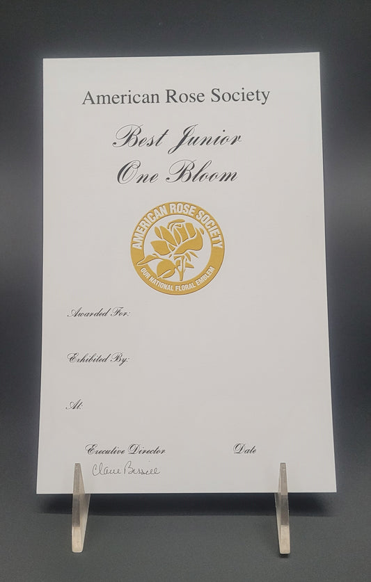 Certificate Best Junior One Bloom