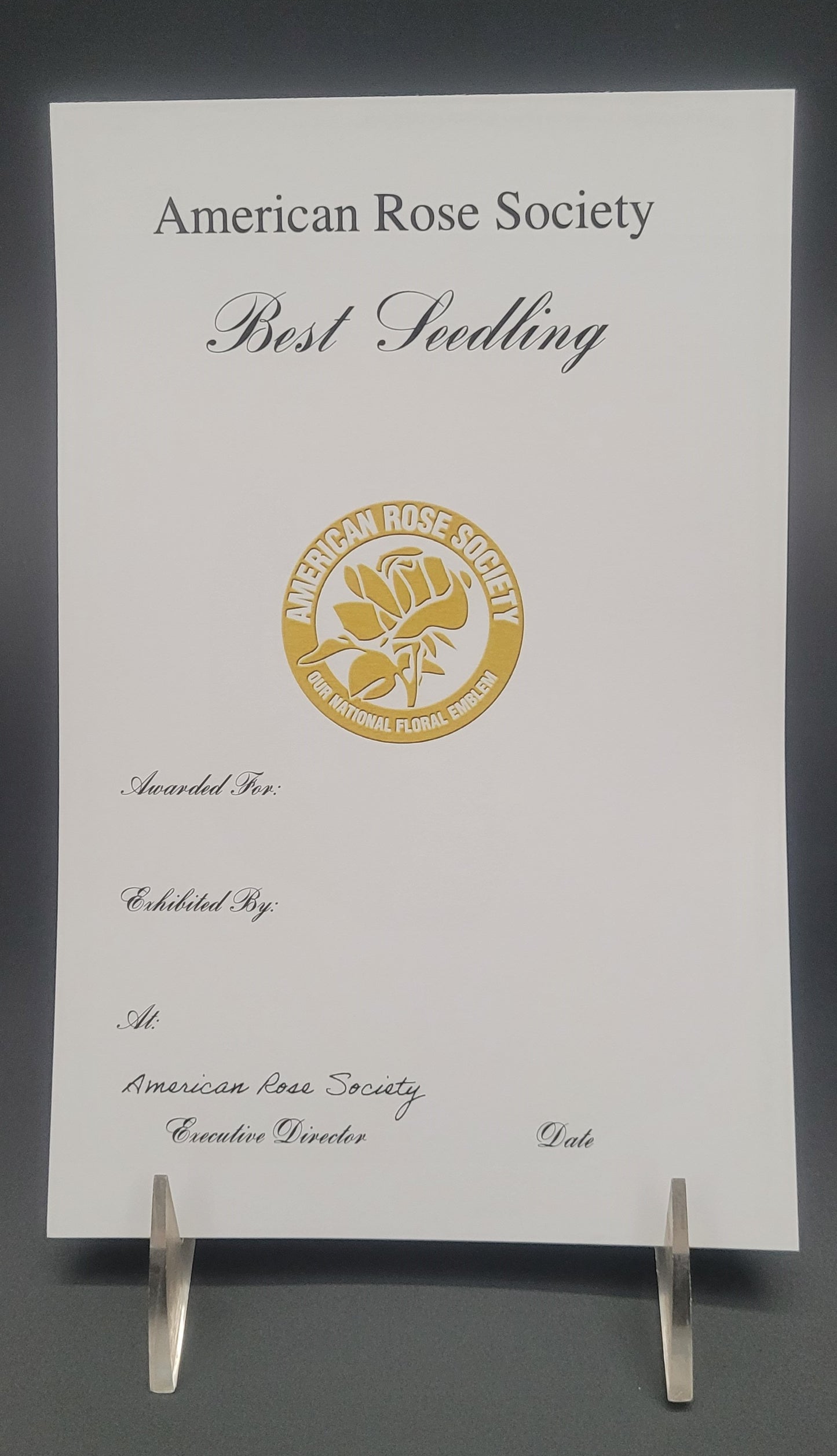 Certificate Best Seedling