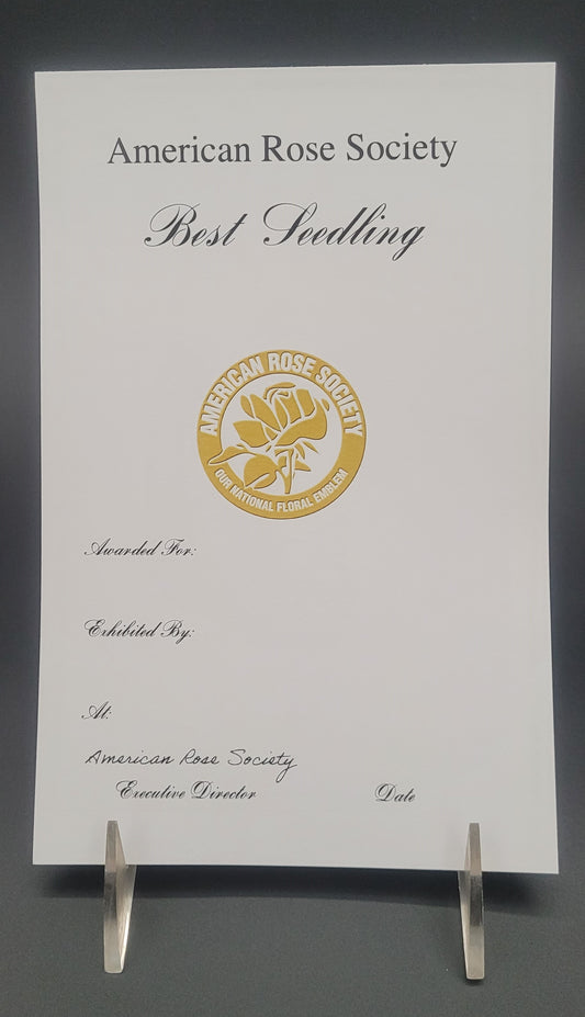 Certificate Best Seedling