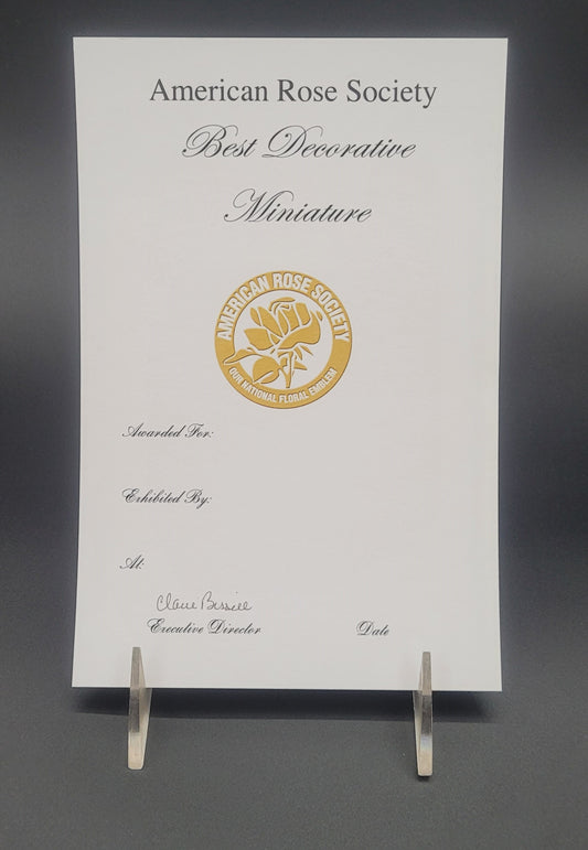 Certificate Best Decorative Miniature