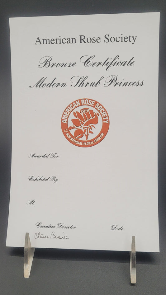 Certificate Modern Shrub- Bronze