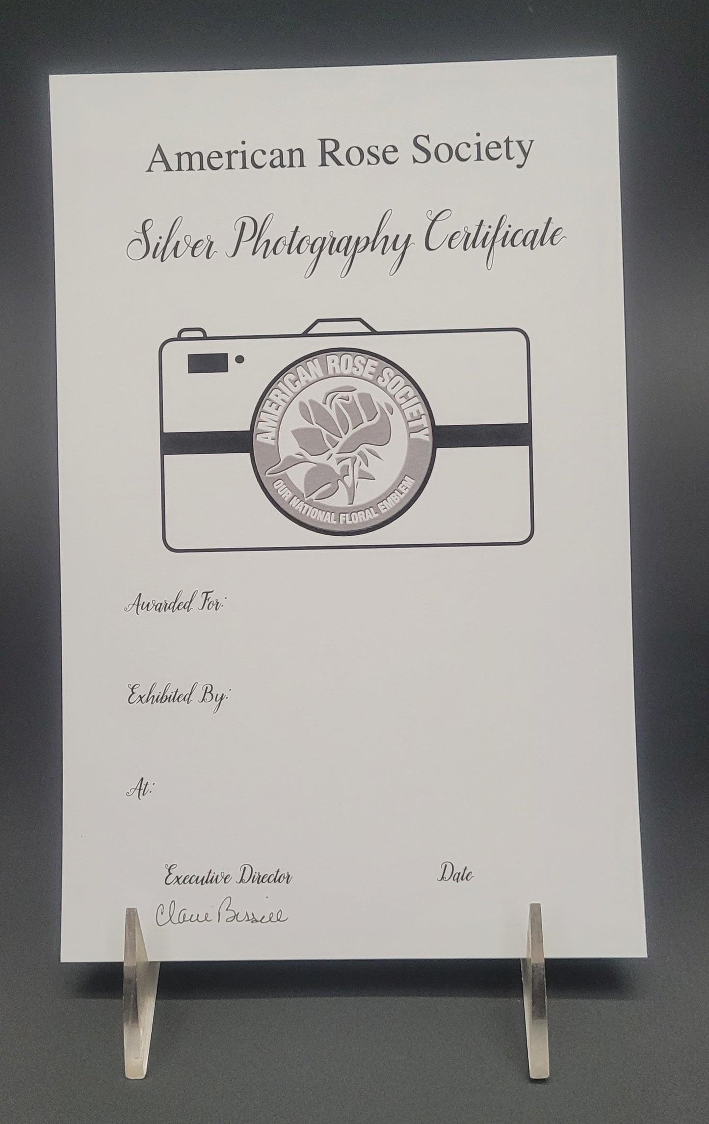 Certificate Photography- Silver